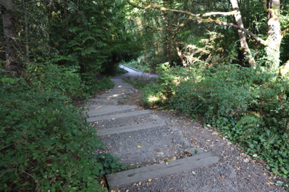 Stairs to the start of the trail by the bridge